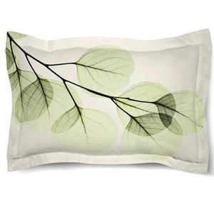 Laural Home Eucalyptus X-ray standard sham
